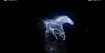 新型「うま」れた！初売りフェア1日目