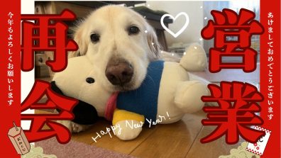 本日から通常営業💕